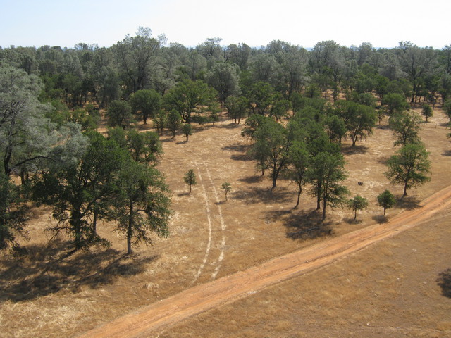 View from the top of the tower to the northeast.