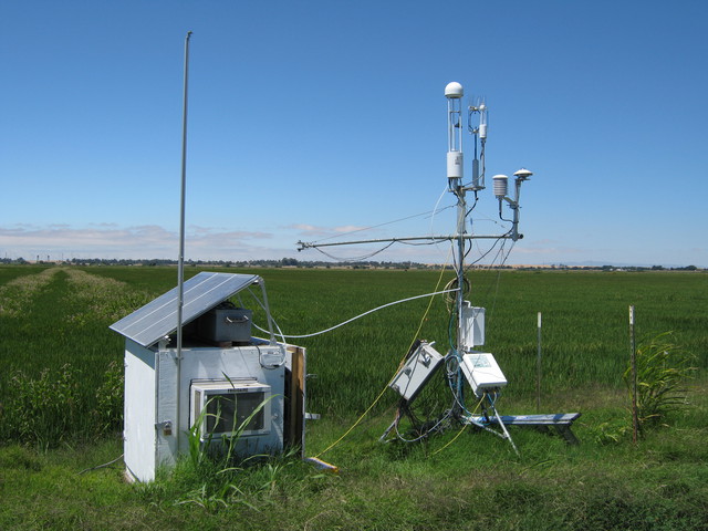 Equipment box and eddy tower at Twitchell rice