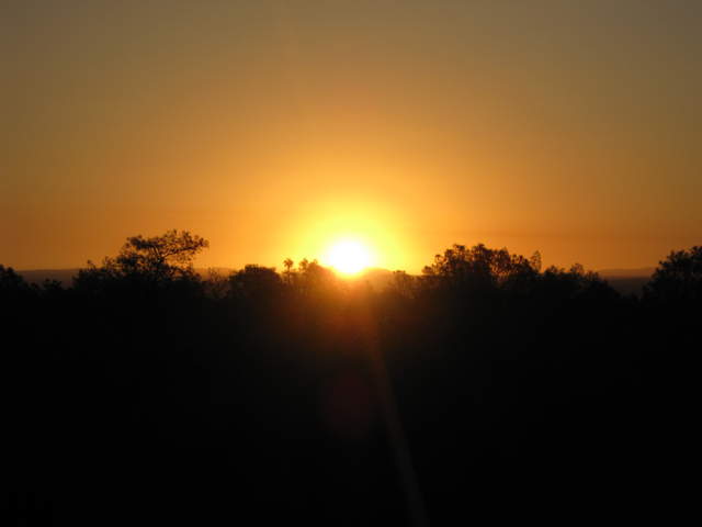 Sun rise over the canopy at Tonzi