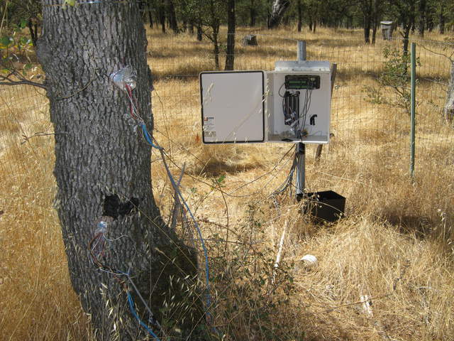 West sap flow data logger box