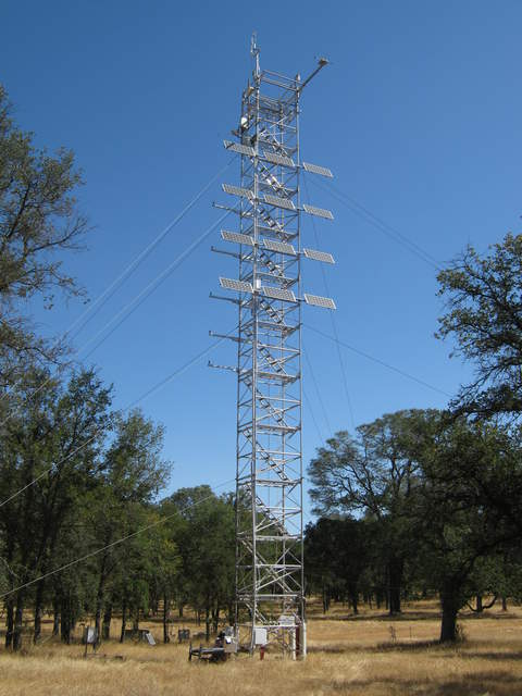 View of the Tonzi tower in late summer