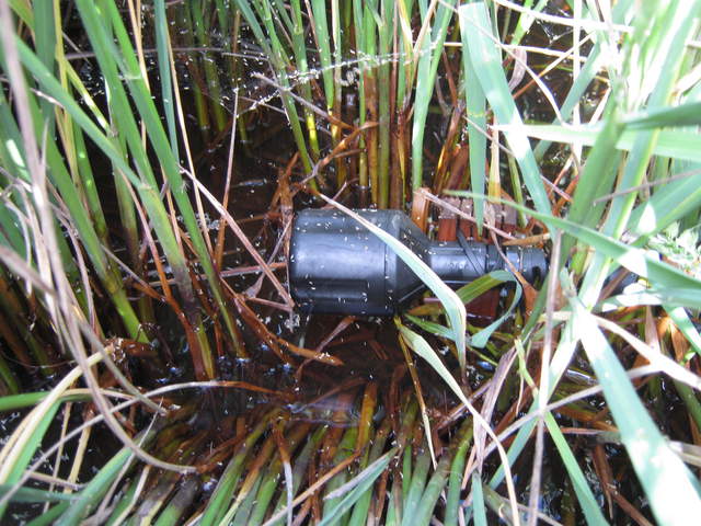 Dissolved oxygen sensor out of the water in the rice field
