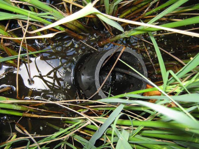 Well pipe for water level at Twitchell Rice