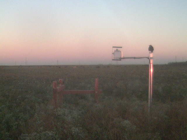 Bird on diffuse radiation boom.