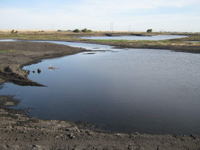Partially flooded Mayberyy wetland
