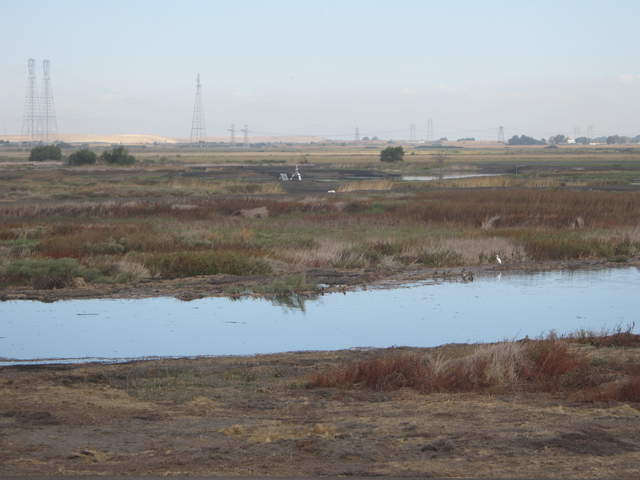 Zoomed view of Mayberry site from main levee