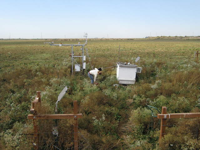Jaclyn at Sherman Pasture site