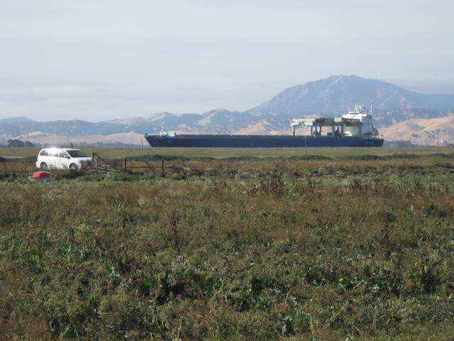 Ship passing above the cow pasture