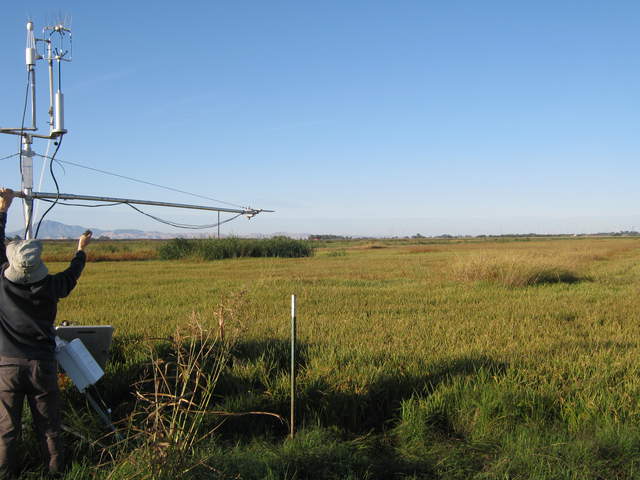 Maintaining the rice eddy tower
