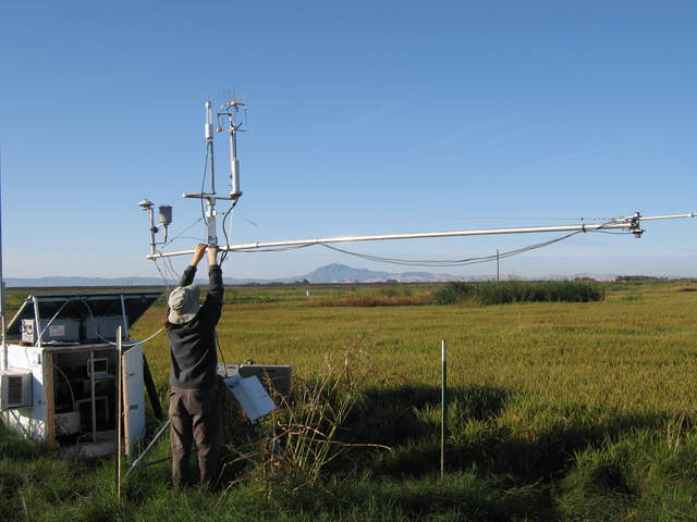 Joe working on the rice tower