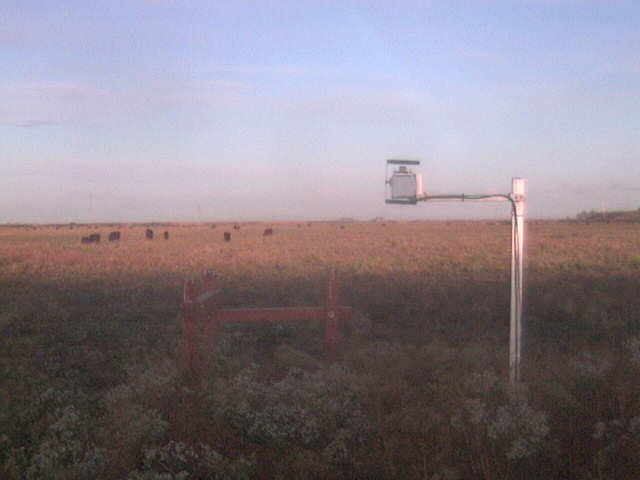 Bridge Shadow.