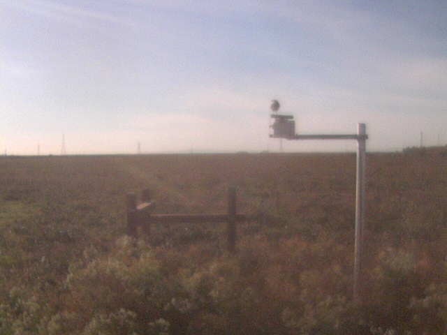 Bird on diffuse radiation shadow band.