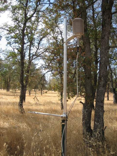 Temporary under-story RH/T sensor and net radiation