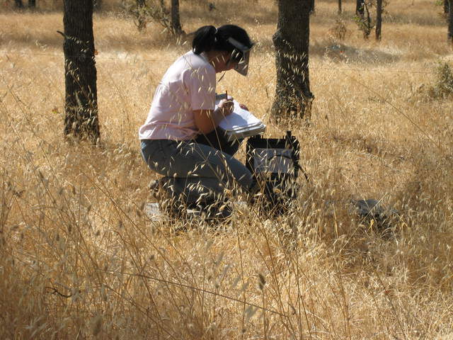 Siyan doing manual Moisture Point soil measurements