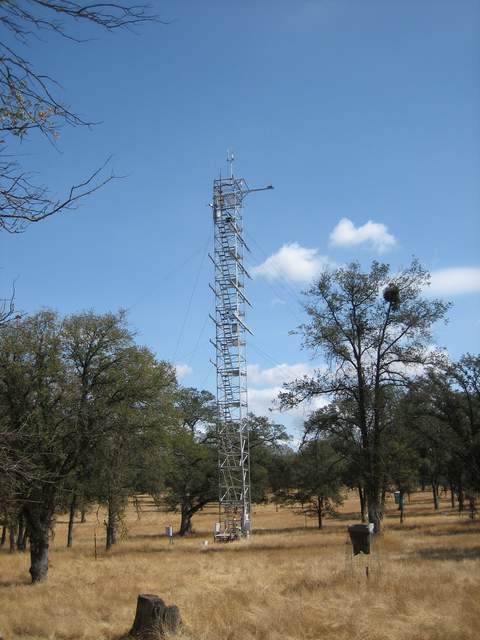 View of the Tonzi Tower