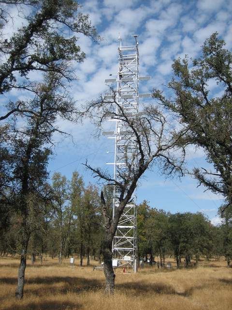 View of the Tonzi Tower
