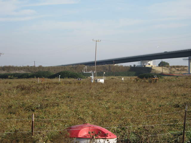 Bird on eddy sensors