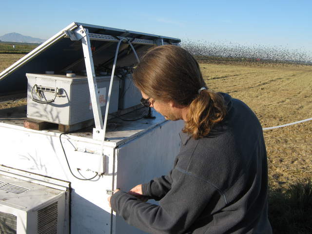 Joe opening equipment box with flock of black birds in background