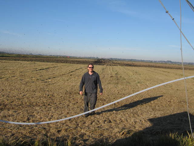 Joe and a flock of black birds on the rice field