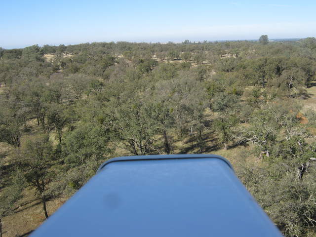field of view of the new phenocam camera