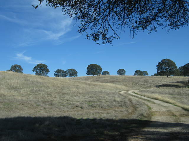 Brown hills, green oaks, blue sky