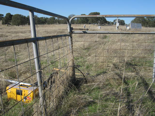 Soil moisture probe inside the biomass fence