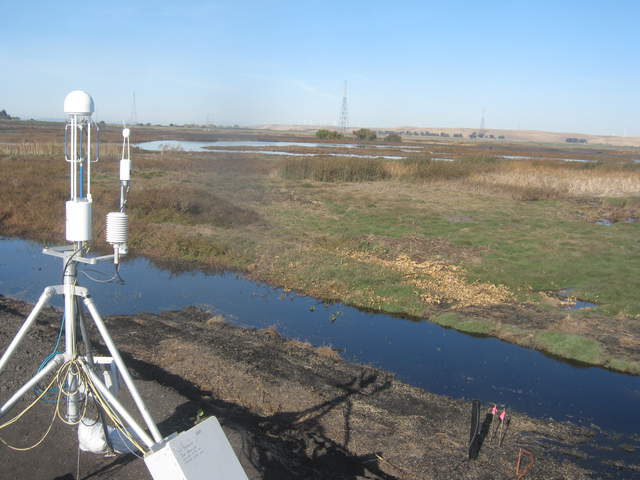 Initial autocam image.