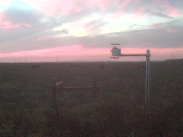 Nice colors in the clouds.