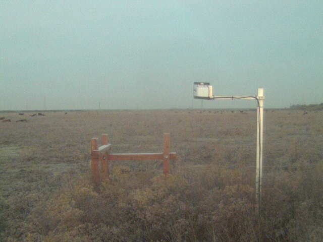 Frost on the ground.