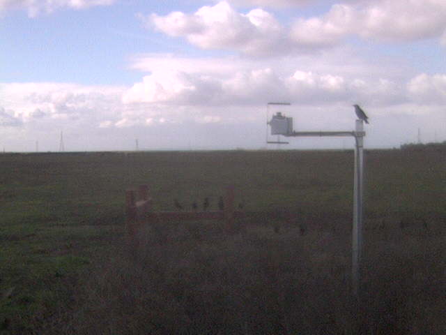 Birds on the fence and radiation boom.