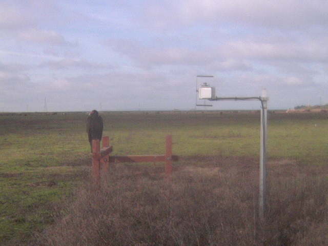 Turkey vulture on the fence post.