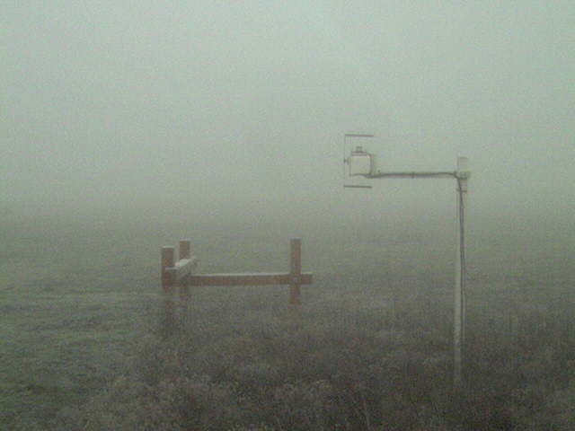 Heavy fog and maybe some frost.
