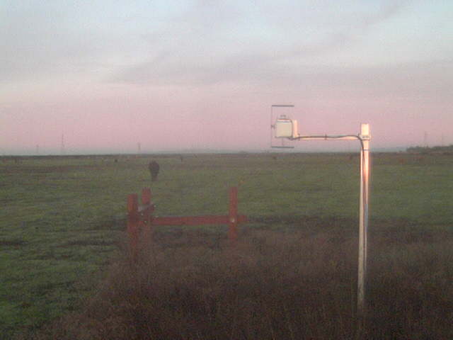view of field site
