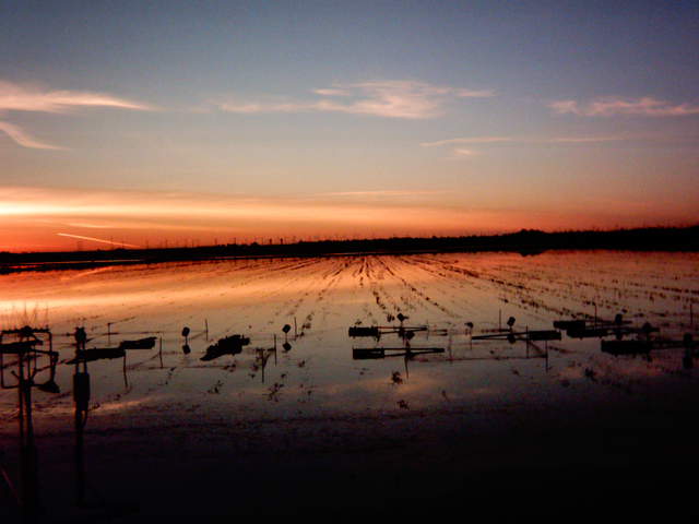 Nice orange sunset.
