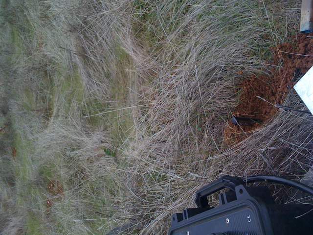Gopher mound on soil moisture probe