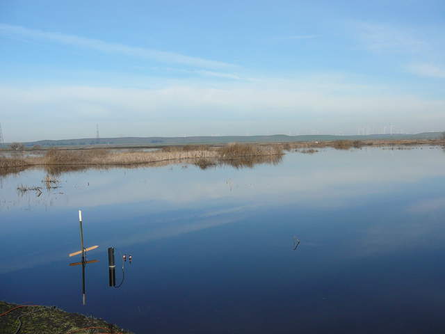 Open water with small patches of brown, short vegetation