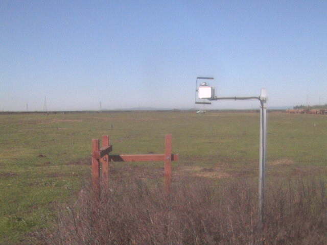 Truck feeding cows in the field