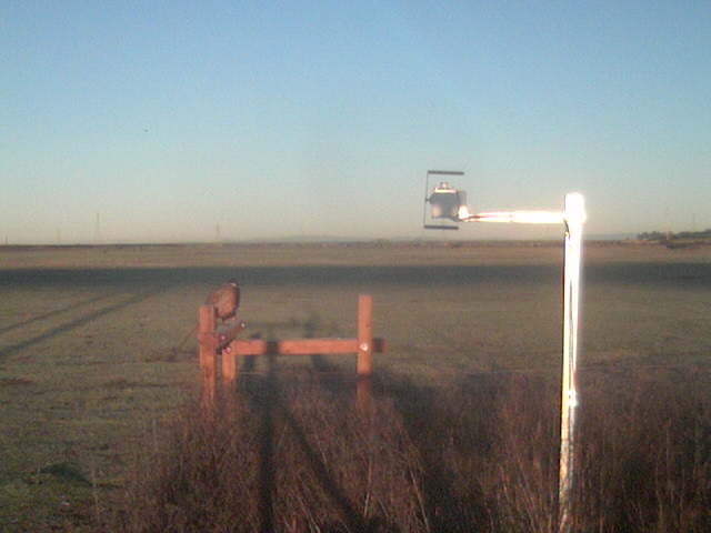 Pheasant and bridge shadow