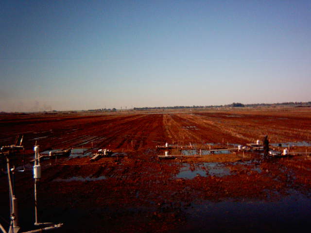 UC Davis in the field