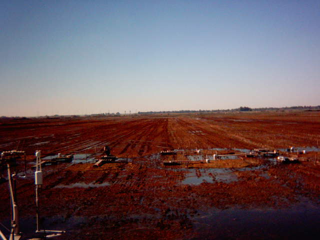 UC Davis in the field