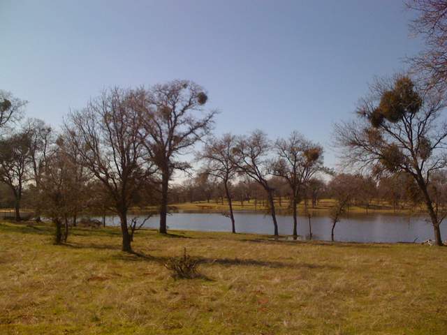 Tonzi pond mostly full
