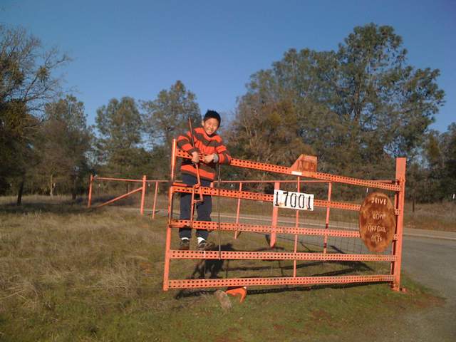 Sunny on the Tonzi gate