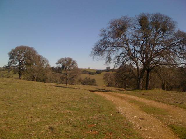 Dirt road to the east of the Vaira site