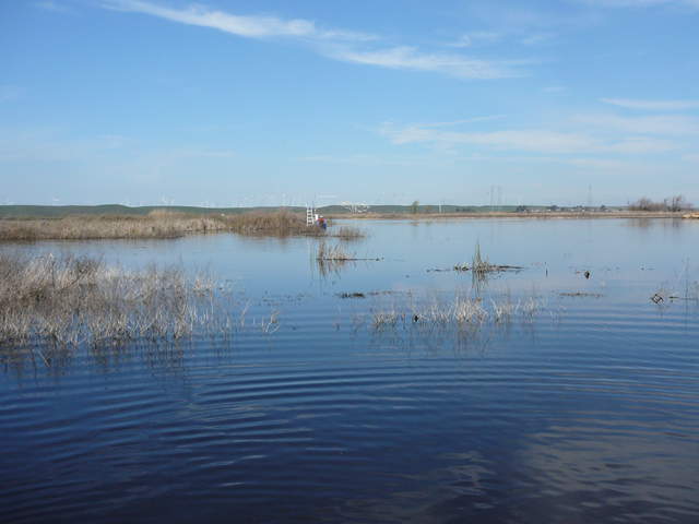 Installed a new tower about 65m northwest of the existing tower. The new tower is in about 1m of water at the edge of an existing tule patch and a deeper channel. 