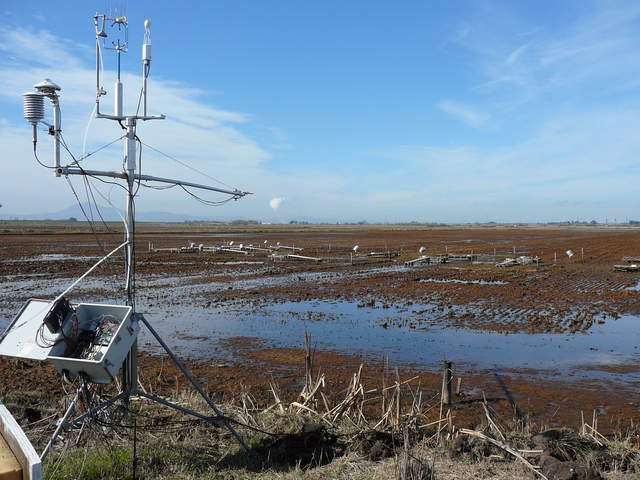 Chamber measurement boardwalk structure on rice field