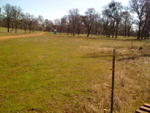View of the oak savanna and out house