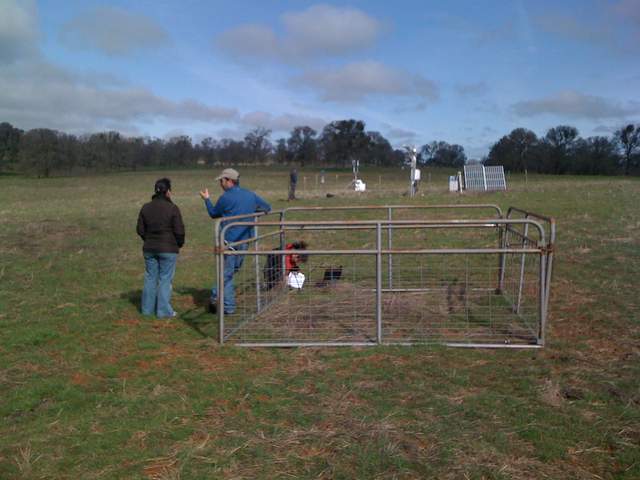Dennis talking while leaning on biomass fence