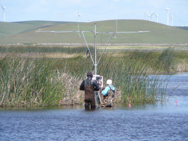 Gavin and Jaclyn servicing the tule tower