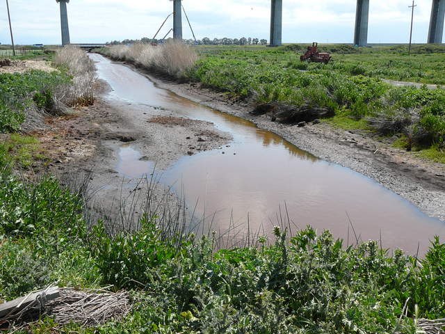 Low water level in the ditch at the edge of the cow pasture