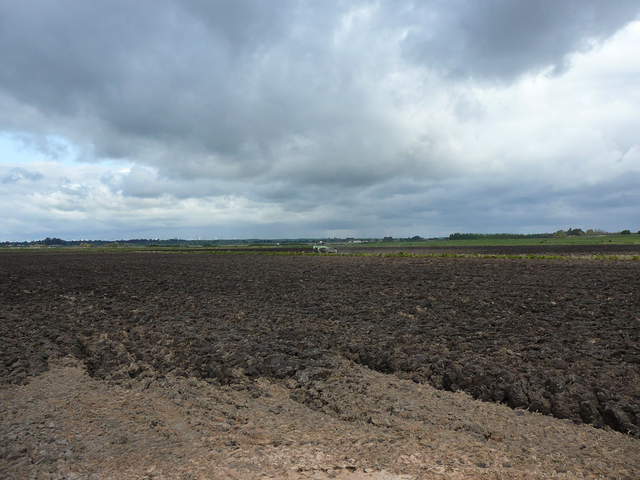 Gray clouds over plowed rice fields